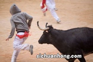女人梦见牛好不好