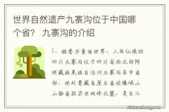 世界自然遗产九寨沟位于中国哪个省？ 九寨沟的介绍