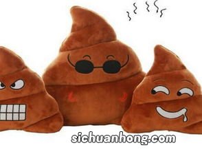 梦见到处都是屎