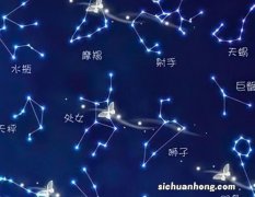 有多少个星座