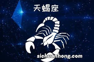 天蝎男想要你的表现