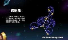 天蝎座最怕什么星座