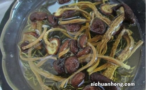 乌鸡茶树菇要熬多久