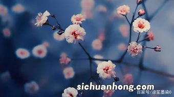 水瓶男在试探你的表现