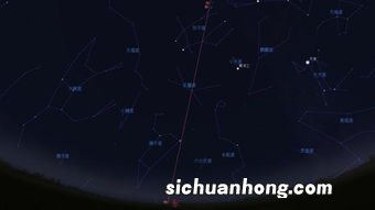 四大高冷星座