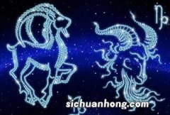 哪个星座最喜欢摩羯座