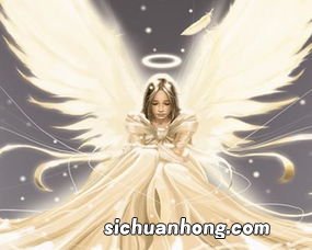 十二星座谁是天使