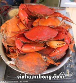 怎么做螃蟹好吃视频