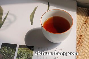 普洱茶熟茶减肥怎么喝