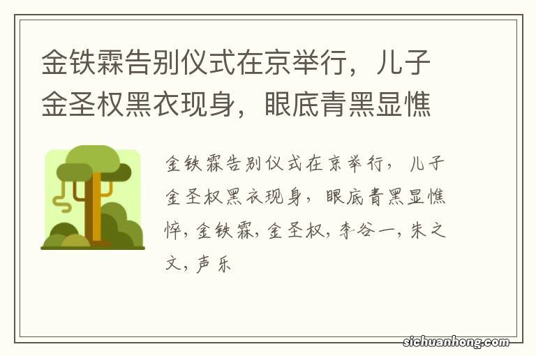 金铁霖告别仪式在京举行，儿子金圣权黑衣现身，眼底青黑显憔悴