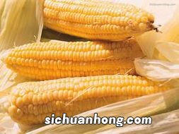 速冻玉米能保存多久
