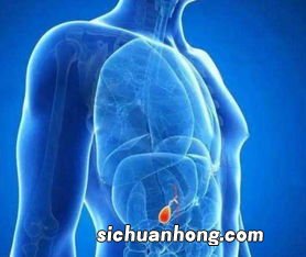 胆囊炎吃什么会好的快