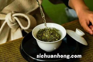 每天喝天山贡菊茶怎么样