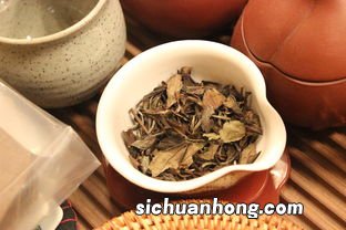 福建白茶怎么泡