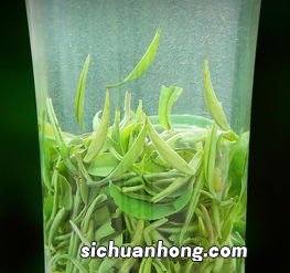 冲泡绿茶最好用什么容器
