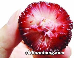 杨梅的味道像什么果