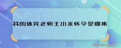 我的体育老师王小米怀孕是哪集 我的体育老师王小米怀孕是在哪一集