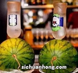 制作醉瓜用什么酒好