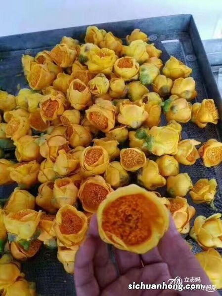 金花荼有什么用