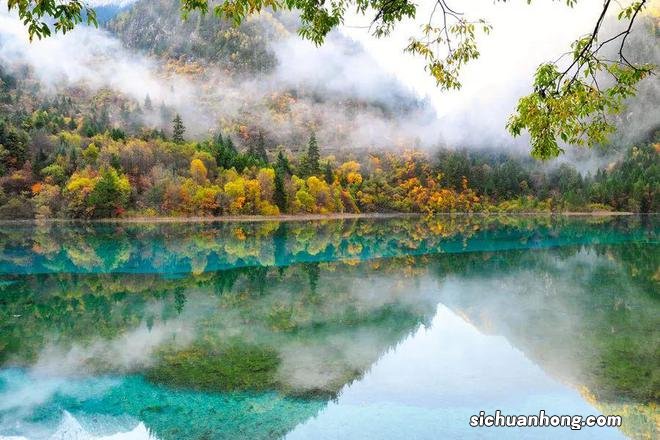 人间不值得,只想去四川