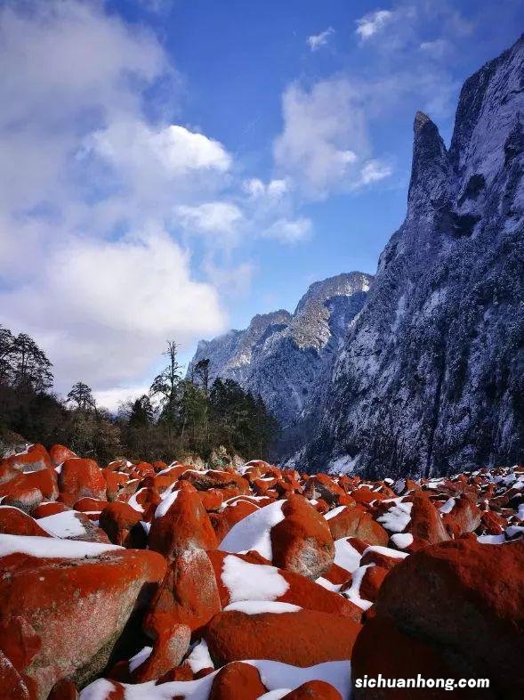人间不值得,只想去四川