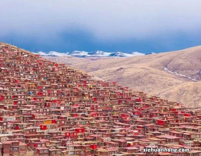 人间不值得,只想去四川