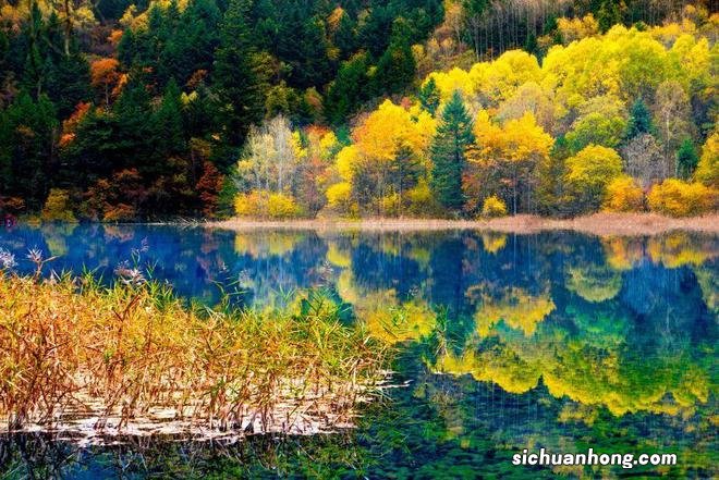 人间不值得,只想去四川