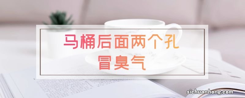 马桶后面两个孔冒臭气