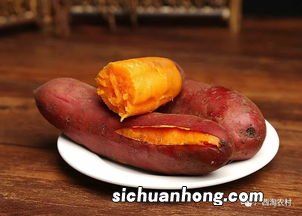煮红薯要煮多久能熟