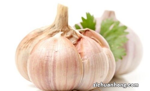 用什么醋泡蒜最好