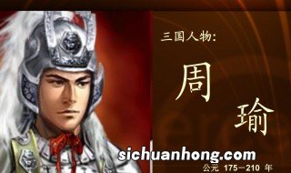 周瑜简介 周瑜介绍