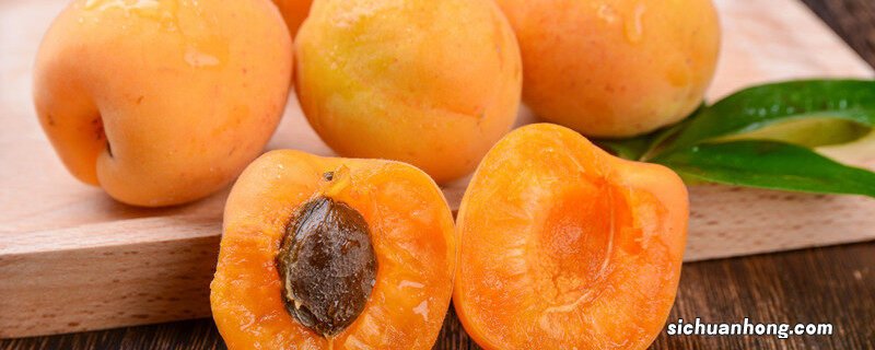 杏树的夏季嫁接方法 杏树夏季嫁接时间和方法