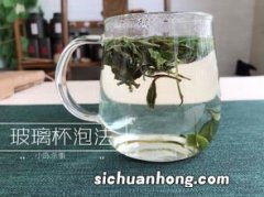 什么茶适合丢在玻璃杯里泡