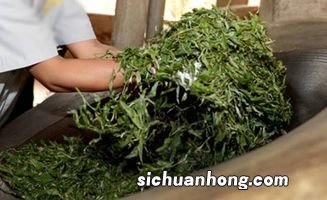 茶叶杀青泡青是什么