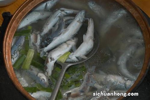 鲟要煮多久