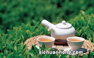 茶含成分最多的是什么