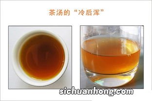 茶叶中氨基酸有什么分布规律