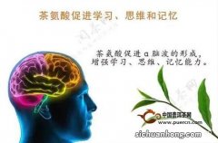 茶叶中氨基酸有什么分布规律