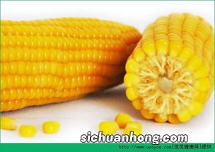 鲜玉米多久能煮熟