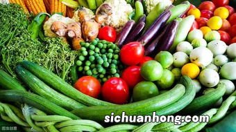 天天吃蔬菜有什么好处