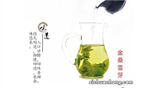 金雪芽茶叶是什么茶