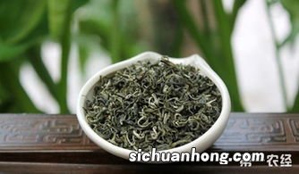 金雪芽茶叶是什么茶