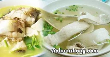 手术后可以喝什么鱼汤