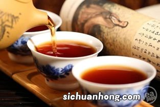 多年的普洱茶喝什么