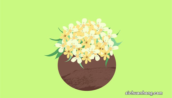 七里香是什么意思 七里香是什么