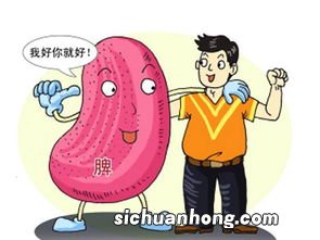 脾胃不消化吃什么