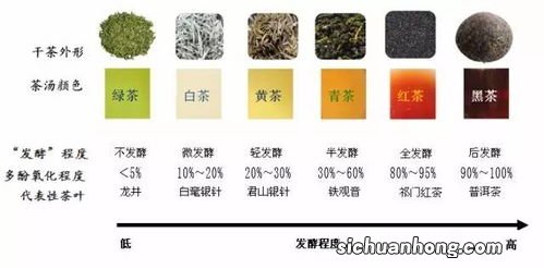 茶类以什么划分