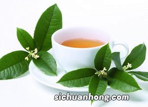 茶类以什么划分