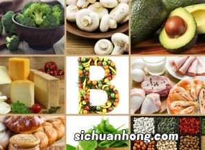 什么食品含b2多