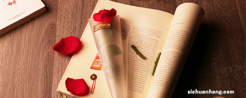 1朵玫瑰花代表的含义和象征 1朵玫瑰花代表的含义